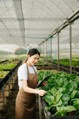  Asian couple of farmers inspects plants with a digital tablet. Smart farming  In a greenhouse plantation.