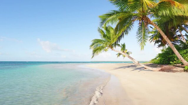 Coconut palms on a sunny sandy beach and turquoise ocean. Amazing summer nature landscape. Stunning sunny beach scenery, relaxing peaceful and inspiring beach holiday template. Tropical paradise.