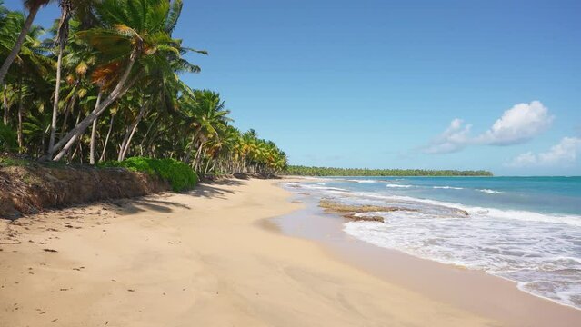 Exotic Ambalangoda beach on a sunny day in Sri Lanka. Tropical beach nature in summer landscape with palm trees and calm sea for beach relaxation. Luxurious tourist landscape, beautiful place to stay.