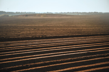 An unplanted field in the morning. Farmland in the country. Soil close-up.