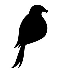 Bird Silhouette