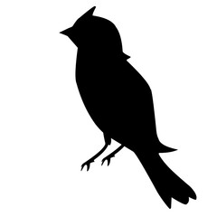 Bird Silhouette