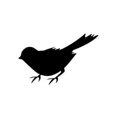 Bird Silhouette