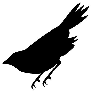 recommend clip art: Bird Silhouette