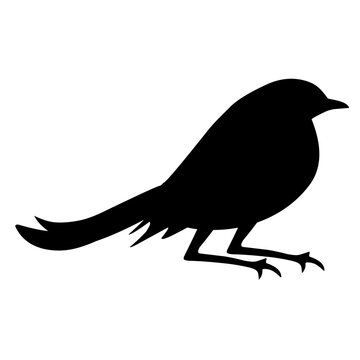 recommend clip art: Bird Silhouette