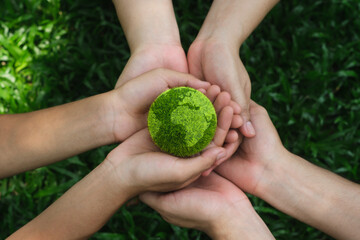 globe in hand environmental concept or world environment day Investing in green businesses, clean...