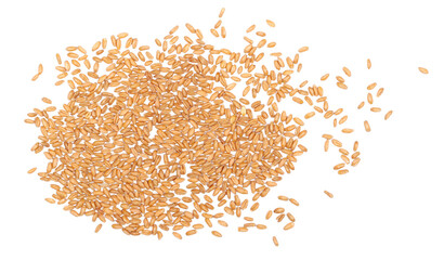 Organic peeled spelt grains isolated on white, top view