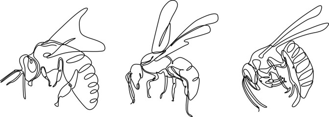 bee continuous line set illustration
