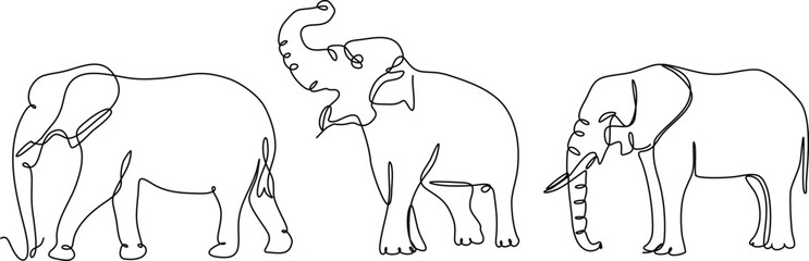 elephant continuous line set illustration