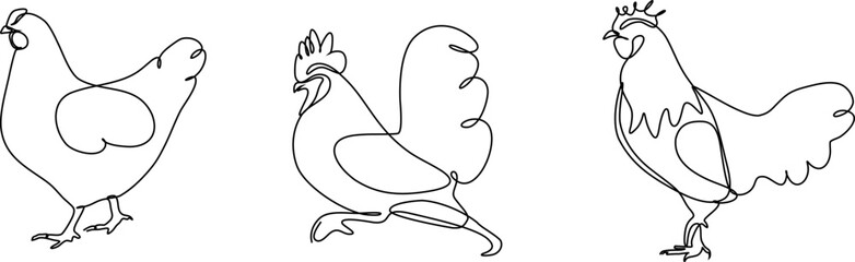 chicken continuous line set illustration