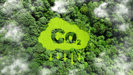 Reduce CO2 emission concept. co2 symbol on green grass in the forest. Lower CO2 emissions to limit global warming and climate change and Sustainable development and business based on renewable energy.