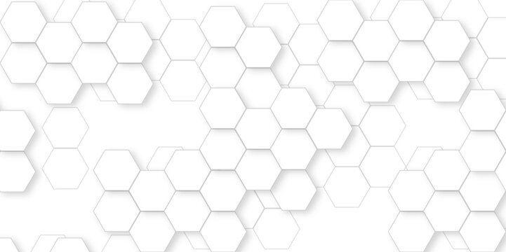 Abstract white and grey seamless hexagon pattern background. Abstract hexagonal concept technology background. Vector Illustration