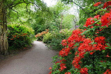 Springtime in the public garden Glingendael in The Hague 