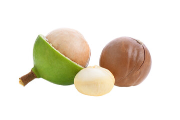 fresh macadamia nuts isolated on transparent png