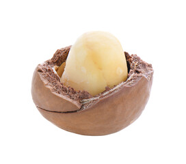 Macadamia nuts isolated on transparent png