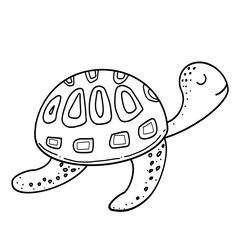 Turtle,snapping turtle 