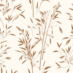 Background seamless with pampas grass. Background with dried plants. Earth-colored. Vector botanical illustration. Background with dried plants. Meadow herbs. Engraving style.