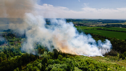 Waldbrand und Flammen bei Vegetationsbrand