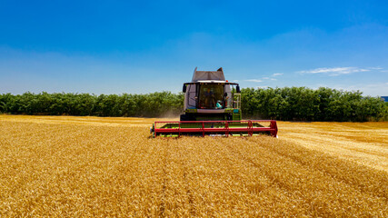 Obraz premium Combine, harvester machine, harvest ripe cereal, wheat