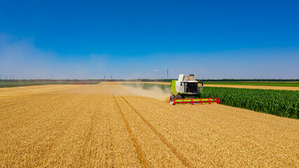 Combine, harvester machine, harvest ripe cereal, wheat