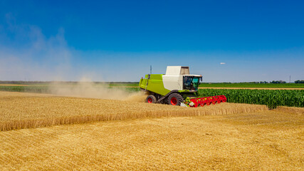 Obraz premium Combine, harvester machine, harvest ripe cereal, wheat