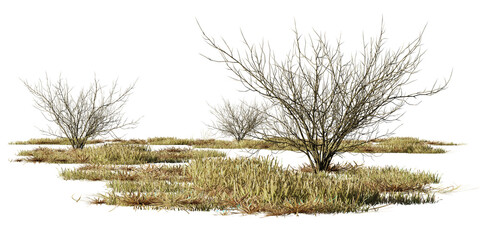dry bushes and grass, desert scene cut-out, isolated on transparent background - 610231924