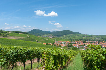 Ortsotale von Birkweiler mit Weinbergen und Pfälzerwald im Hintergrund. Region Pfalz im Bundesland...
