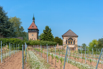 Hofgut und ehemaliges Kloster Geilweilerhof bei Siebeldingen. Region Pfalz im Bundesland...