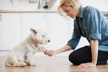 Close up view of charming lady holding left paw of adorable white terrier while leaning on floor of...