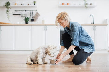 Caring young woman in denim shirt and yoga pants putting dog bowl with breakfast for white furry...