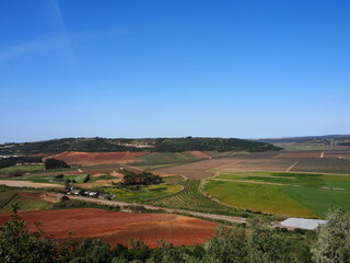 Naklejka premium Nature of Óbidos