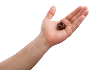 Hair loss treatment concept. Hand with hair