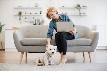 Faithful West Highland White Terrier staying close to female owner in casual clothes and with portable computer. Cuddly small dog helping young lady cope with business crisis by giving love at home.