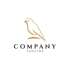 Bird logo design vector illustration