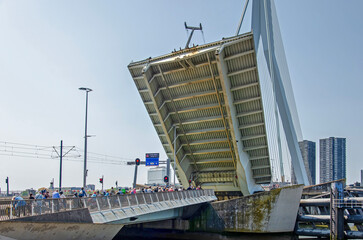 Rotterdam, The Netherlands, June 5, 2023: bicyclists waiting for the bridgedeck to close after the passage of a vessel on Nieuwe Maas river