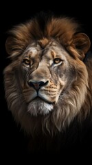 Fototapeta premium Head of a lion on a black background. Concept of strength and power. Generative AI