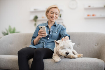 Happy lady in denim shirt using cell phone while petting slowly white terrier on sofa in apartment interior. Delighted dog keeper texting message on modern gadget after pleasant doggy spa day. - obrazy, fototapety, plakaty