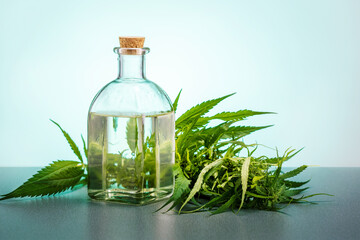 fresh green cannabis leaves and a test jar of cannabis oil. - obrazy, fototapety, plakaty