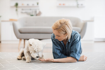 Full length view of attractive blonde in denim wear leaning on elbows while holding white dog's leg in hand. Well-behaved West Highland White Terrier giving paw to female owner on carpet of apartment.