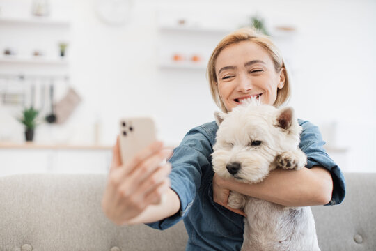 Selective focus of affectionate woman with cell phone in hand cuddling to white terrier while getting self-portrait. Smiling female adult seizing positive moment of time spent with dog indoors.