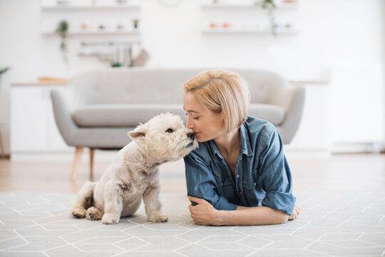 Charming caucasian woman kissing nose of small Westie while lying on floor covered with carpet in open-plan kitchen. Loving family dog reaching out muzzle to pretty animal owner on bright sunny day.