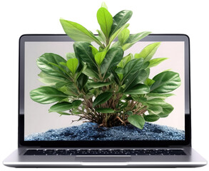 Plant growing out of screen of a laptop as a concept for technology and environmental protection, isolated on a white background, generative AI