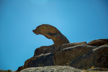 snake like shaped rock in uzbekistan