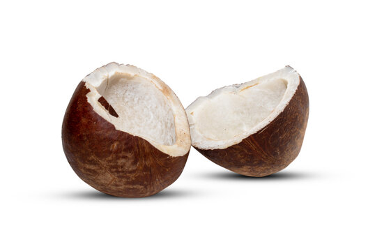 Half broken and full dried Coconut isolated on white background