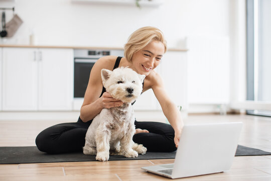 Young active adult in sport clothes sitting cross-legged with white pet while typing on portable computer indoors. Smiling yogini searching for online training class while sitting on floor in kitchen.