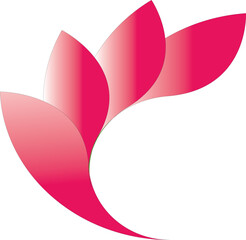 pink flower background