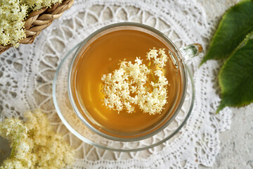 Fresh elderberry flowers in a cup of herbal tea