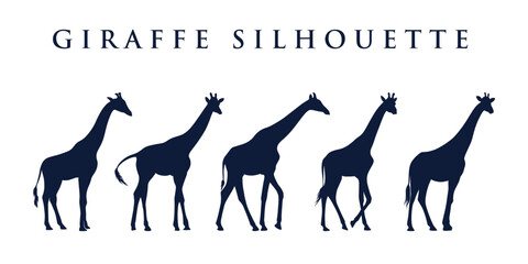 Vector of giraffe flat silhouette with different poses