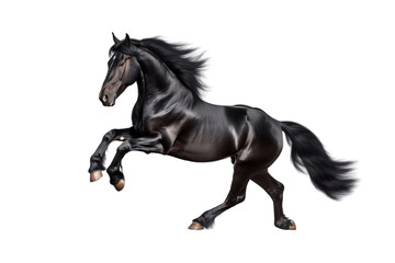 Obraz na płótnie Canvas Transparent Background Isolated Black Horse Landing. Generative AI