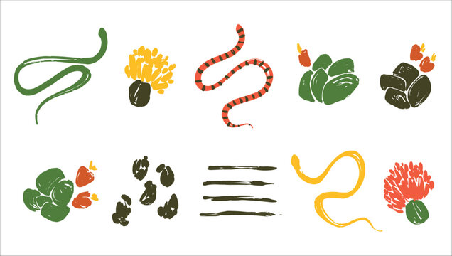 Set of illustrations with snakes, cacti and flowers. Reptiles with desert plants. Vector snakes in a minimalist style.